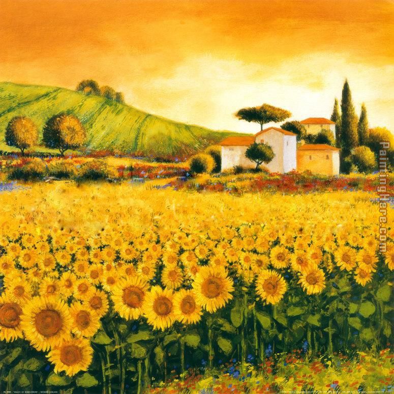 Richard Leblanc Valley of Sunflowers